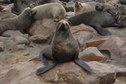 Cape Cross